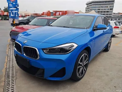 2020 BMW X2 sDrive25i Exclusive M Sport Package, фото 2, лот 10475474