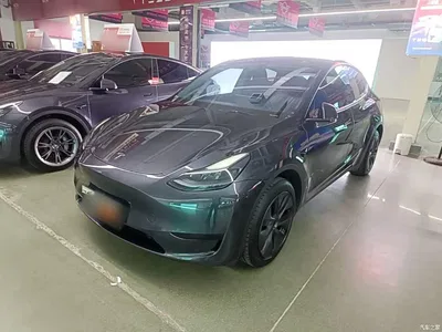 2024 Tesla Model Y Rear-Wheel Drive Version, фото 1, лот 10370210