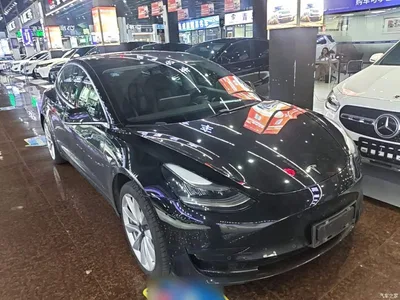 2019 Tesla Model 3 Standard Range Rear-Wheel Drive Upgrade, фото 4, лот 11248224