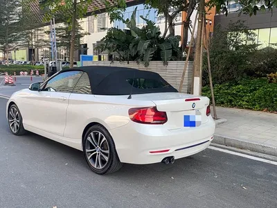 2019 BMW 2 Series (Import) 225i Convertible Coupe Sport Design Package, фото 4, лот 10471397