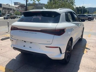 2020 BYD e2 Upgraded Long Range Luxury, фото 4, лот 11568887