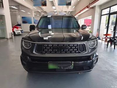 2023 Haval Second-Generation Big Dog New Energy DHT-PHEV 105km Trendy Electric Edition Plus, фото 3, лот 11170816