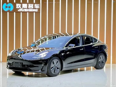 2019 Tesla Model 3 (Import) Long Range All-Wheel Drive Edition, фото 1, лот 10356943