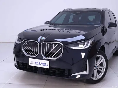2025 BMW X3 xDrive25L Luxury Package, фото 3, лот 10482072