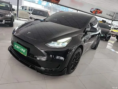 2023 Tesla Model Y Rear-Wheel Drive Edition, фото 1, лот 11218308