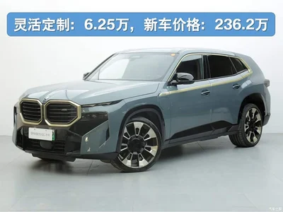 2023 BMW XM Model Base, фото 1, лот 10425510