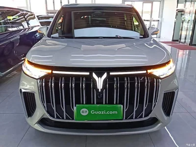 2024 Voyah Auto Voyah Dreamer PHEV Extended Range Premium Edition, фото 3, лот 10437364