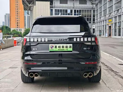 2021 Lynk & Co 09 EM-P 2.0T PHEV Ultra 6-seater, фото 4, лот 10025735