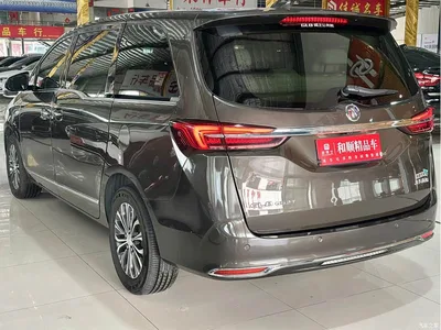 2021 Buick GL8 Land Business Class 652T Luxury, фото 4, лот 11210613