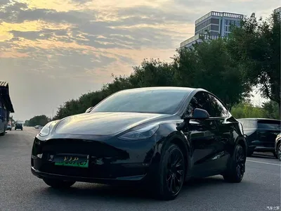 2021 Tesla Model Y Standard Range Rear-Wheel Drive, фото 1, лот 10392389
