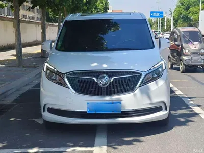 2018 Buick GL8, фото 3, лот 10242471