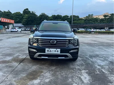 2017 GAC Trumpchi Trumpchi GS8 320T 2WD Luxury Smart Connect (7-seater), фото 2, лот 11205827