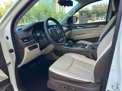 2024 Dongfeng Fengdu Paladin 2.0T AWD Ultimate Edition, фото 3, лот 10410084