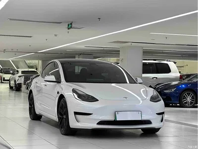 2021 Tesla Model 3 Standard Range Rear-Wheel Drive Upgrade 3D6, фото 3, лот 11095802