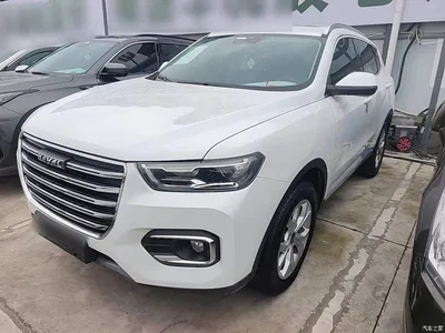 2020 Haval H6 1.5GDIT Automatic Platinum Urban Edition, фото 2, лот 10440059