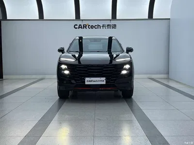 2023 Jetour Dasheng 1.5T DCT Starlight PRO+, фото 2, лот 10827067