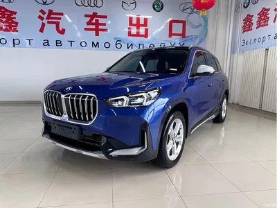 2023 BMW X1 sDrive20Li X Design Package, фото 1, лот 10237366