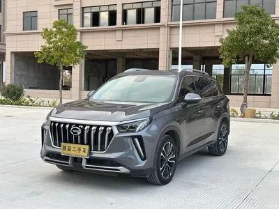 2021 GAC Trumpchi Trumpchi GS4 PLUS 390T Automatic Stellar Edition, фото 1, лот 11228122