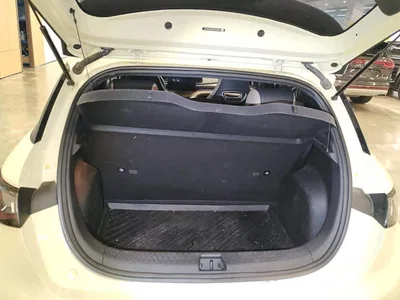 2023 BYD Dolphin 420km Freedom Edition, фото 4, лот 10257862