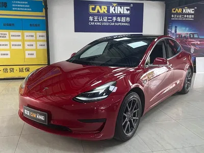 2019 Tesla Model 3 Standard Range Rear-Wheel Drive Upgrade, фото 1, лот 10449783