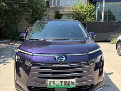 2024 GAC Trumpchi Trumpchi E8 NEV Model 150km MAX, фото 1, лот 10680258