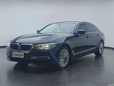 2019 BMW 5 Series 530Li Leading Luxury Package, фото 1, лот 10445531