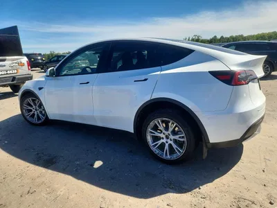 2023 TESLA MODEL Y, фото 2, лот 11186632