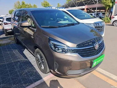 2021 Buick GL8 Land Business Class 652T Luxury, фото 4, лот 11568311