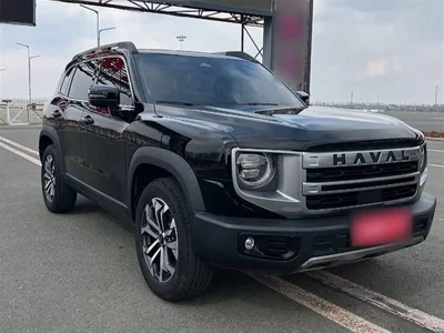 2024 Haval Big Dog 1.5T DCT Border Collie Edition, фото 1, лот 10361233