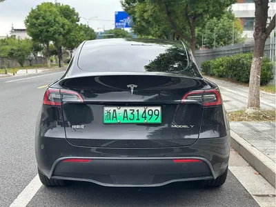 2022 Tesla Model Y Rear-Wheel Drive Version, фото 4, лот 11194826