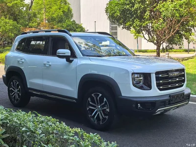 2022 Haval Big Dog Model 2.0T DCT AWD Howling Celestial Dog Hunting Edition, фото 3, лот 10391999