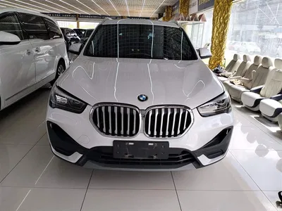 2021 BMW X1 Facelift sDrive25Li Leading, фото 3, лот 10467888