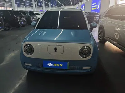 2021 Ora Black Cat 301km Basic Model, фото 2, лот 11206545