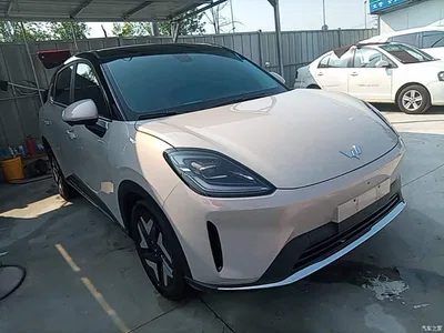 2025 Wuling Motors Wuling Bingo S Model 325km Flagship Edition, фото 4, лот 10836099