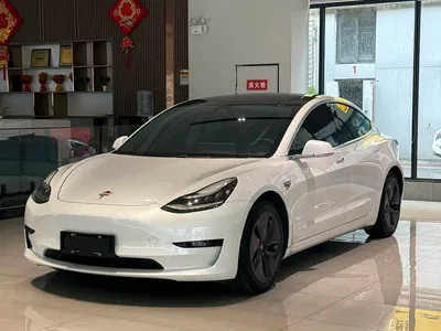2019 Tesla Model 3 Standard Range Rear-Wheel Drive Upgrade, фото 1, лот 10355396