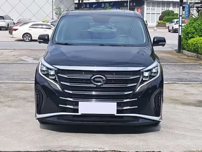 2023 GAC Trumpchi Trumpchi M8 Leading Series 390T Prestige Edition, фото 2, лот 10414610