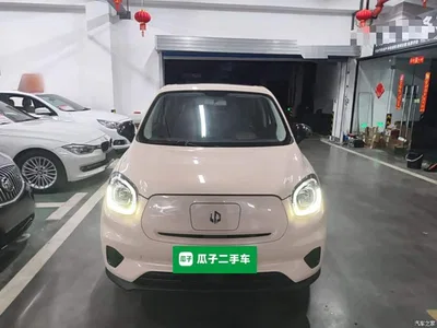 2021 Leapmotor T03 400 Comfort Edition, фото 3, лот 11177725