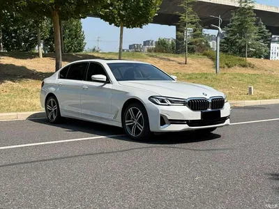 2022 BMW 5 Series 530Li Leading M Sport Package, фото 3, лот 11243523