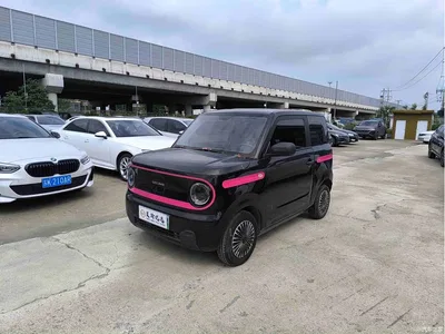 2023 Geely Galaxy Panda Mini 200km Endurance Bear, фото 1, лот 10431083