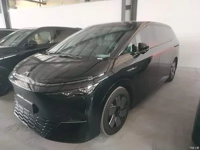 2024 XPeng X9 610 Long Range Pro, фото 1, лот 10377364