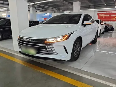 2024 BYD Destroyer 05 Glory Edition DM-i 55KM Luxury, фото 2, лот 10267747