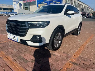 2021 Haval H6 Model National Trend Edition 1.5T Auto Champion, фото 1, лот 10283227