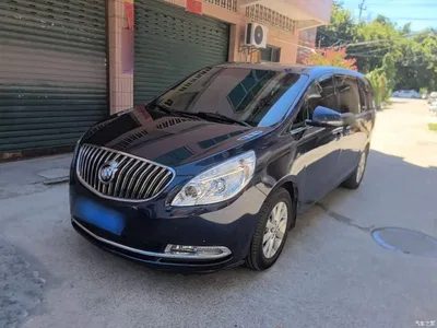 2015 Buick GL8 2.4L Luxury Business Exclusive Edition, фото 1, лот 10259171