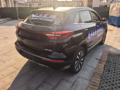 2018 Weltmeister EX5 400 Extra Innovation Edition, фото 3, лот 10340727