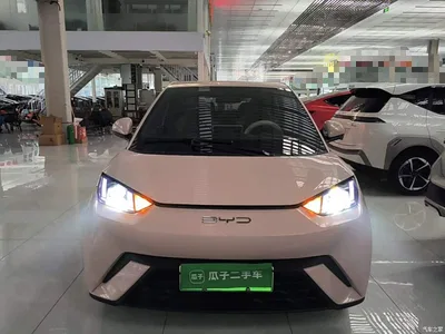 2023 BYD Seagull Vitality Edition, фото 3, лот 11198453