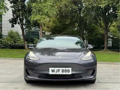 2019 Tesla Model 3 Standard Range Rear-Wheel Drive Upgrade, фото 2, лот 11573631