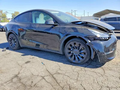 2020 TESLA MODEL Y, фото 4, лот 10856781