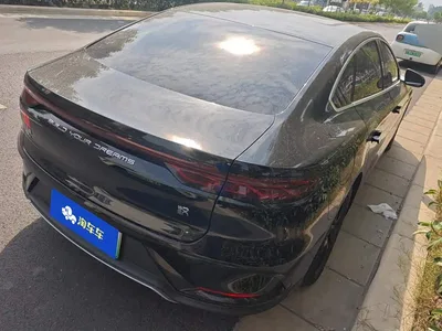 2023 BYD Han DM-i Champion Edition 121KM Prestige, фото 3, лот 10401606