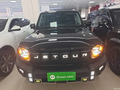2023 Jetour Traveler Model 2.0T 4WD Cross PRO, фото 3, лот 10433133