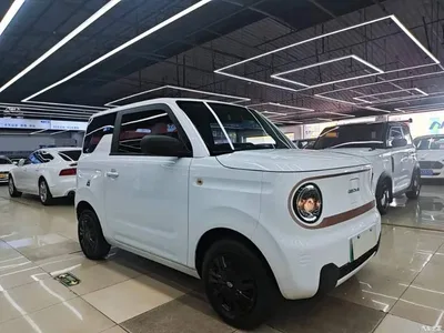 2023 Geely Galaxy Panda Mini 200km Endurance Bear, фото 3, лот 10889368